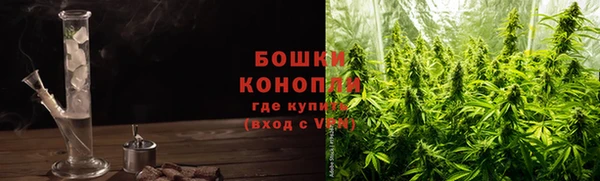 PSILOCYBIN Гусь-Хрустальный