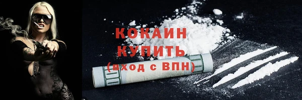 PSILOCYBIN Гусь-Хрустальный