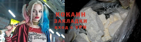 гашик Гусев