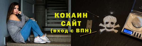 гашик Гусев