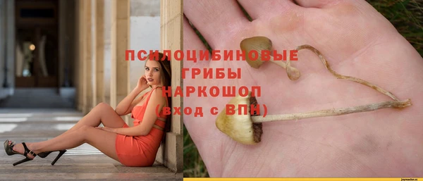 apvp Гусиноозёрск