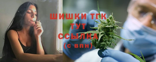 apvp Гусиноозёрск