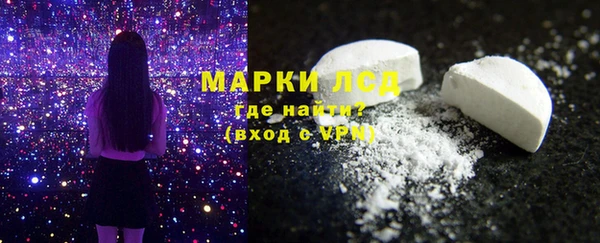 гашик Гусев