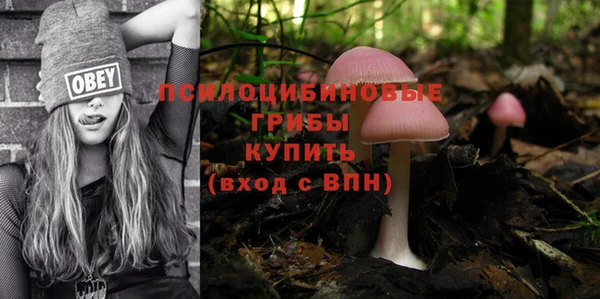 гашик Гусев
